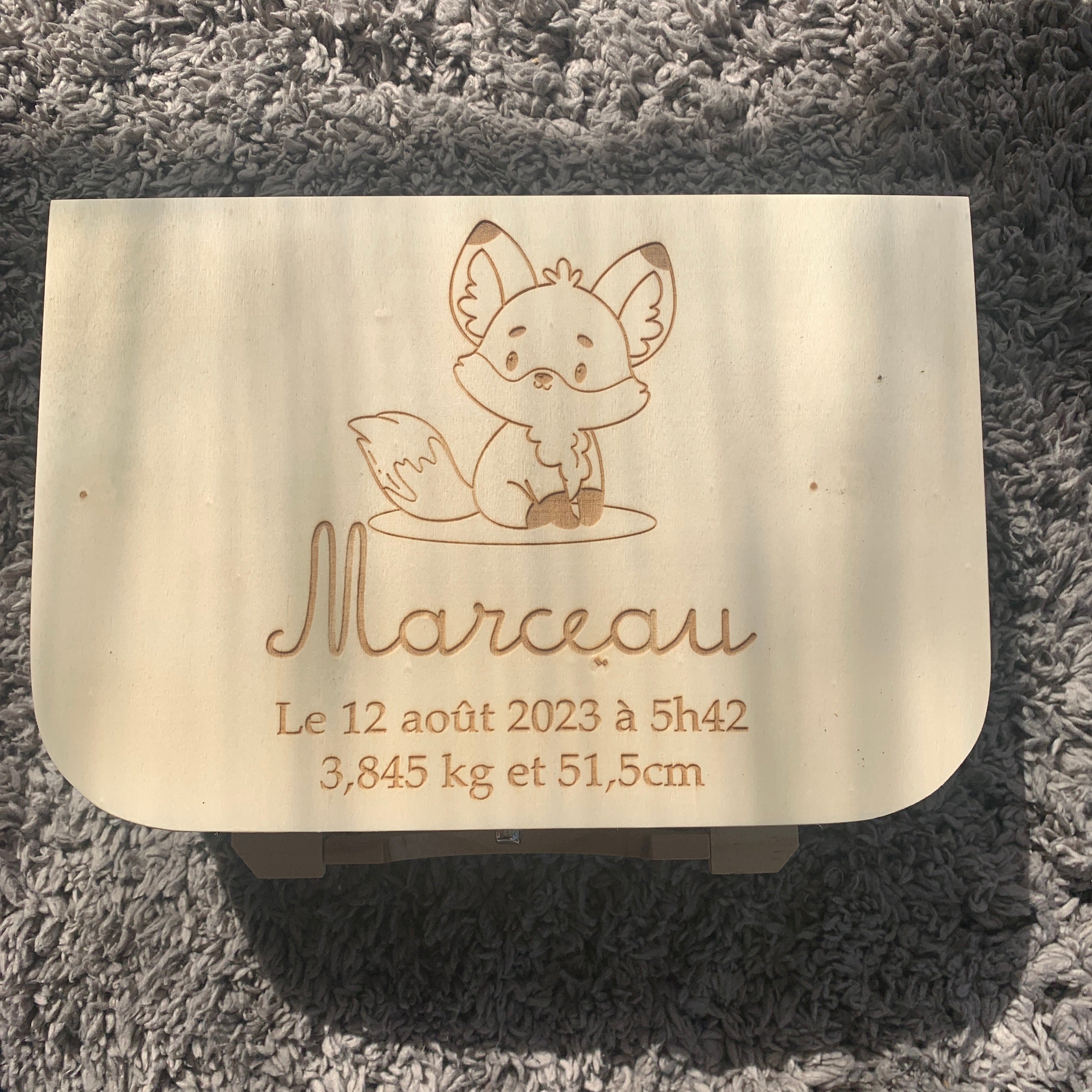 Valise - Renard